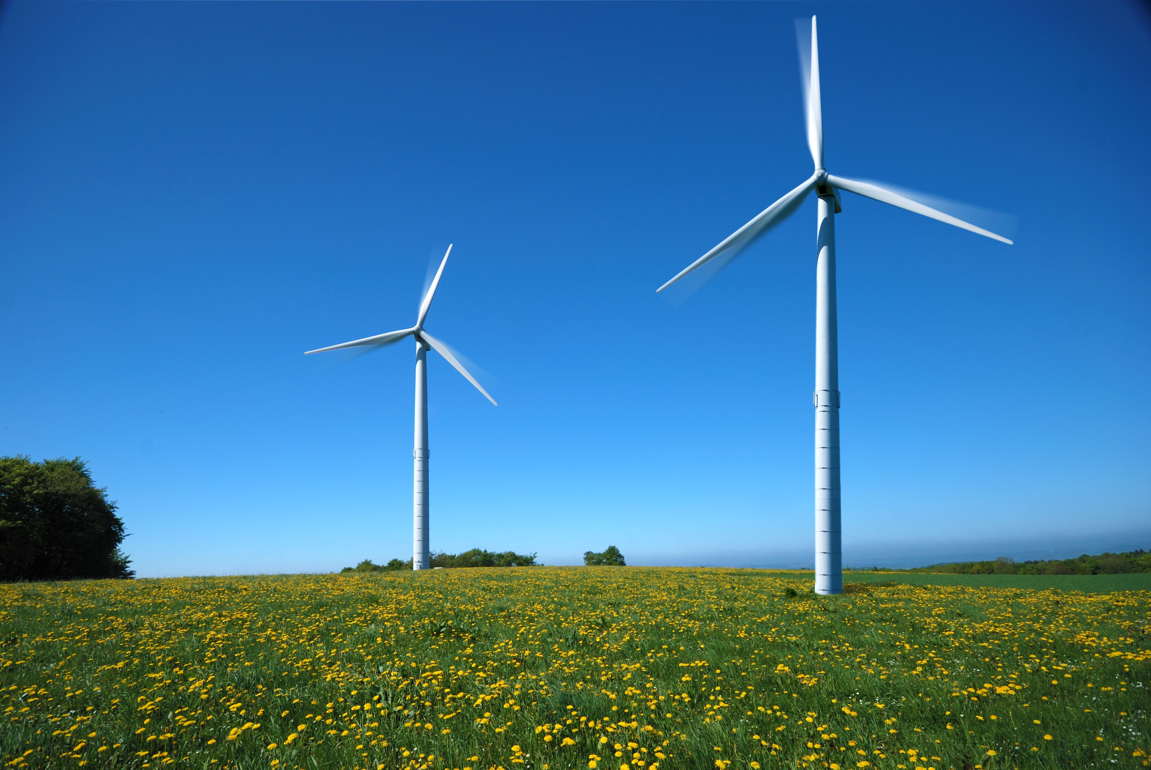 SIT – Экологический менеджмент и возобновляемая энергия